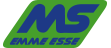EMME ESSE Logo